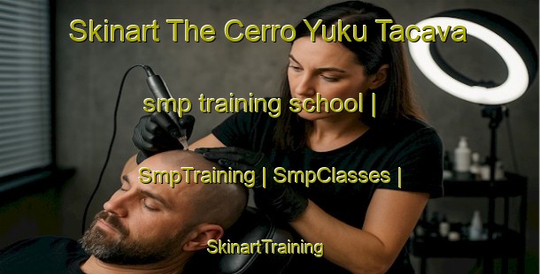 Skinart The Cerro Yuku Tacava smp training school | SmpTraining | SmpClasses | SkinartTraining-Mexico